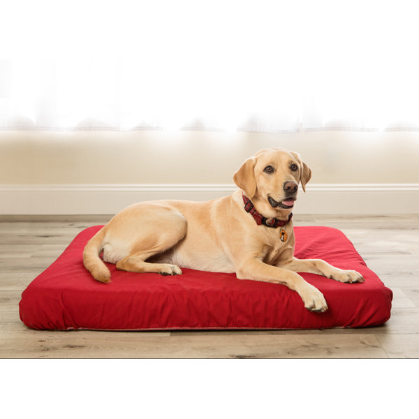 Pet Bed Popovers Stay Dry Cotton Denim Pet Bed Cover Wayfair